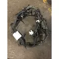 INTERNATIONAL MAXXFORCE13 ENGINE WIRING HARNESS thumbnail 1