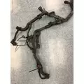 INTERNATIONAL MAXXFORCE13 ENGINE WIRING HARNESS thumbnail 8