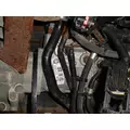 INTERNATIONAL MF13-Bosch_3005275C1 Fuel Pump thumbnail 4