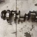 INTERNATIONAL MF7-07 Crankshaft thumbnail 8