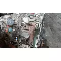 INTERNATIONAL MF7-07 Engine Assembly thumbnail 19