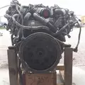 INTERNATIONAL MF7-07 Engine Assembly thumbnail 4