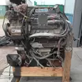 INTERNATIONAL MF7-07 Engine Assembly thumbnail 5