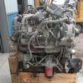 INTERNATIONAL MF7-07 Engine Assembly thumbnail 8