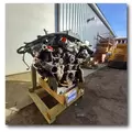 INTERNATIONAL MF7-10 Engine Assembly thumbnail 6