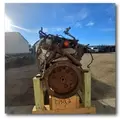 INTERNATIONAL MF7-10 Engine Assembly thumbnail 9