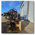 INTERNATIONAL MF7-10 Engine Assembly thumbnail 11