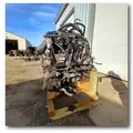 INTERNATIONAL MF7-10 Engine Assembly thumbnail 12