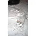 INTERNATIONAL MISCELLANEOUS Front Lamp (Turn Signal) thumbnail 3