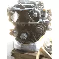 INTERNATIONAL MV607 Engine Assembly thumbnail 17