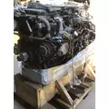 INTERNATIONAL MV607 Engine Assembly thumbnail 18