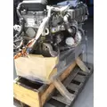 INTERNATIONAL MV607 Engine Assembly thumbnail 19