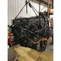 INTERNATIONAL MV607 Engine Assembly thumbnail 4