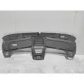 INTERNATIONAL MV Door Panel (Trim) thumbnail 5