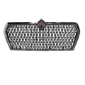 INTERNATIONAL MV Grille thumbnail 1