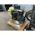 INTERNATIONAL MaxxForce 10 Engine Assembly thumbnail 3