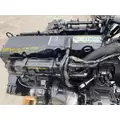 INTERNATIONAL MaxxForce 10 Engine Assembly thumbnail 4