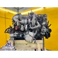 INTERNATIONAL MaxxForce 11 Engine Assembly thumbnail 1