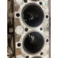 INTERNATIONAL MaxxForce 13 Cylinder Block thumbnail 5