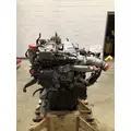 INTERNATIONAL MaxxForce 13 Engine Assembly thumbnail 1