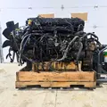 INTERNATIONAL MaxxForce 13 Engine Assembly thumbnail 7