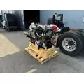 INTERNATIONAL MaxxForce 13 Engine Assembly thumbnail 3