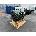 INTERNATIONAL MaxxForce 13 Engine Assembly thumbnail 6