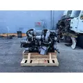 INTERNATIONAL MaxxForce 13 Engine Assembly thumbnail 1