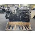 INTERNATIONAL MaxxForce 13 Engine Assembly thumbnail 2