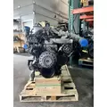 INTERNATIONAL MaxxForce 13 Engine Assembly thumbnail 1