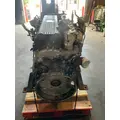 INTERNATIONAL MaxxForce 13 Engine Assembly thumbnail 4
