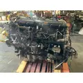 INTERNATIONAL MaxxForce 13 Engine Assembly thumbnail 5