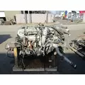 INTERNATIONAL MaxxForce 13 Engine Assembly thumbnail 5