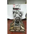 INTERNATIONAL MaxxForce 7 Engine Assembly thumbnail 4