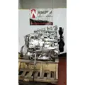 INTERNATIONAL MaxxForce 7 Engine Assembly thumbnail 5