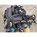 INTERNATIONAL MaxxForce 7 Engine Assembly thumbnail 5