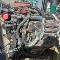 INTERNATIONAL MaxxForce 7 Engine Assembly thumbnail 5