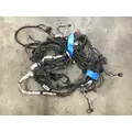 INTERNATIONAL MaxxForce 7 Engine Wiring Harness thumbnail 2