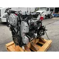 INTERNATIONAL MaxxForce 9 Engine Assembly thumbnail 7