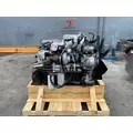 INTERNATIONAL MaxxForce 9 Engine Assembly thumbnail 1