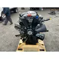 INTERNATIONAL MaxxForce 9 Engine Assembly thumbnail 4