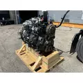 INTERNATIONAL MaxxForce 9 Engine Assembly thumbnail 3