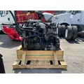 INTERNATIONAL MaxxForce 9 Engine Assembly thumbnail 4