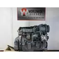 INTERNATIONAL MaxxForce DT Engine Assembly thumbnail 2