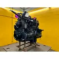 INTERNATIONAL MaxxForce DT Engine Assembly thumbnail 6