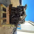 INTERNATIONAL MaxxForce DT Engine Assembly thumbnail 9