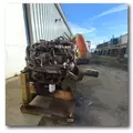 INTERNATIONAL MaxxForce7 Engine Assembly thumbnail 5