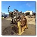 INTERNATIONAL MaxxForce7 Engine Assembly thumbnail 9