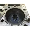 INTERNATIONAL MaxxForceDT Cylinder Block thumbnail 11