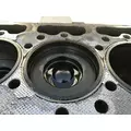 INTERNATIONAL MaxxForceDT Cylinder Block thumbnail 7